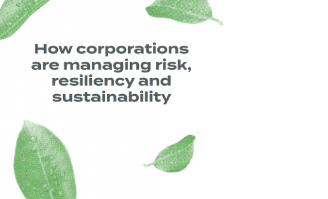 nrg_2020_report_cover_image